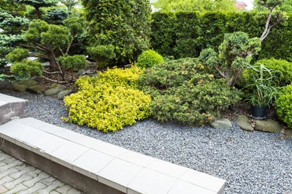 Paul Robins Landscaping Custom Townhouse Garden Design Services