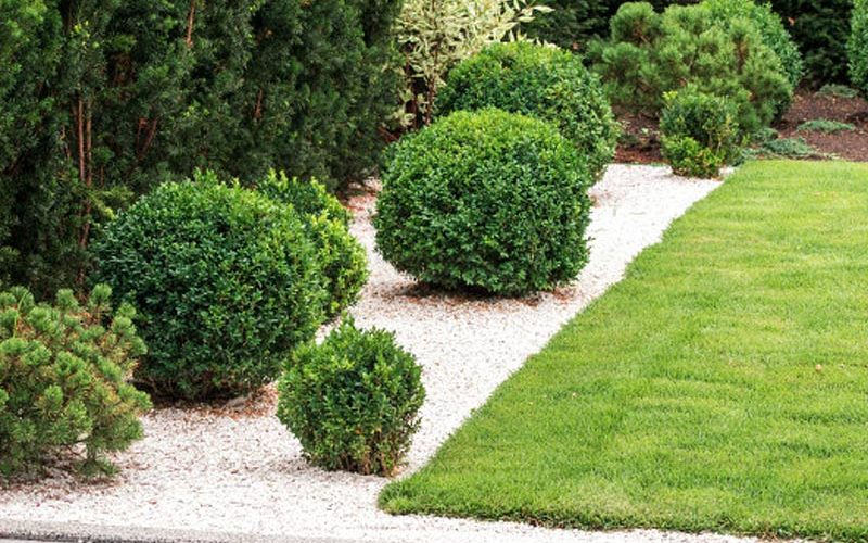 Paul Robins Landscaping Garden Edging Services