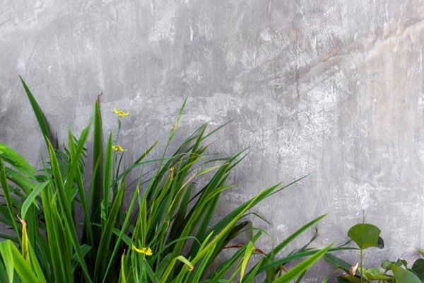 Paul Robins Landscaping Residential Wall Rendering Services