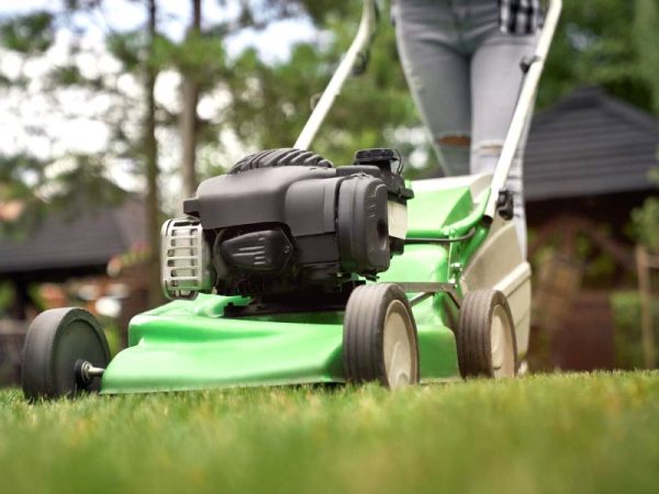 Services-Lawn-Care