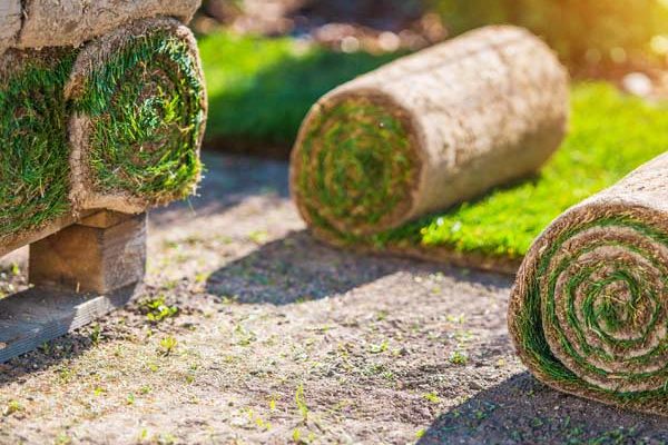 Paul Robins Landscaping Turf Laying Services Commercial